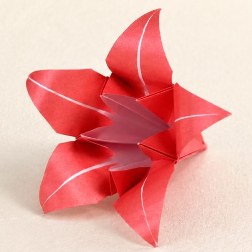 Origami 5-Petal Lily, the finished model