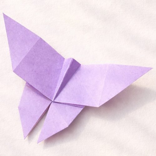 Origami Easy Origami Butterfly, the finished model