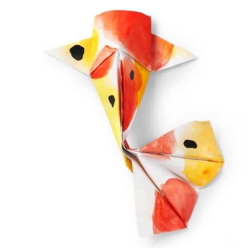 Origami Koi, the finished model