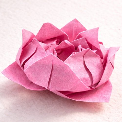 Origami Lotus Flower, the finished model
