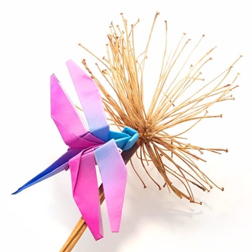 Origami Dragonfly, the finished model