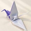 Origami Imoseyama Cranes, the finished model