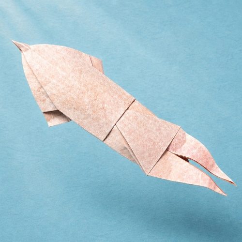 Origami Squid, the finished model